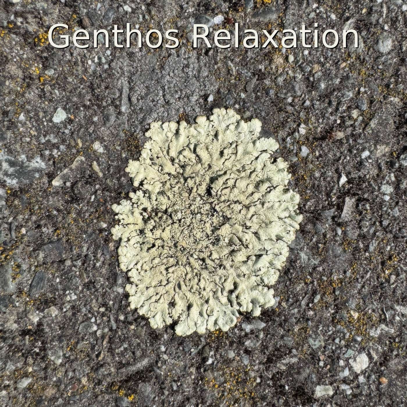 Genthos Relaxation podcast artwork